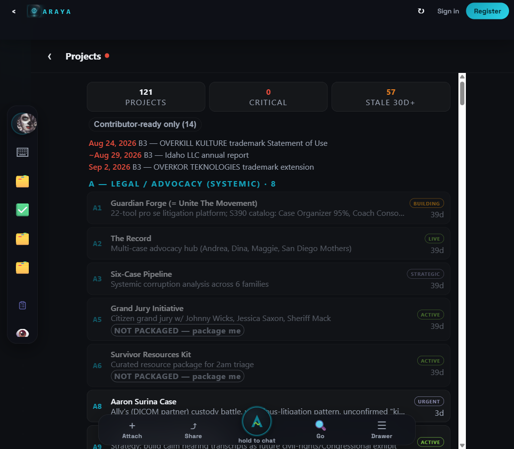 Projects widget